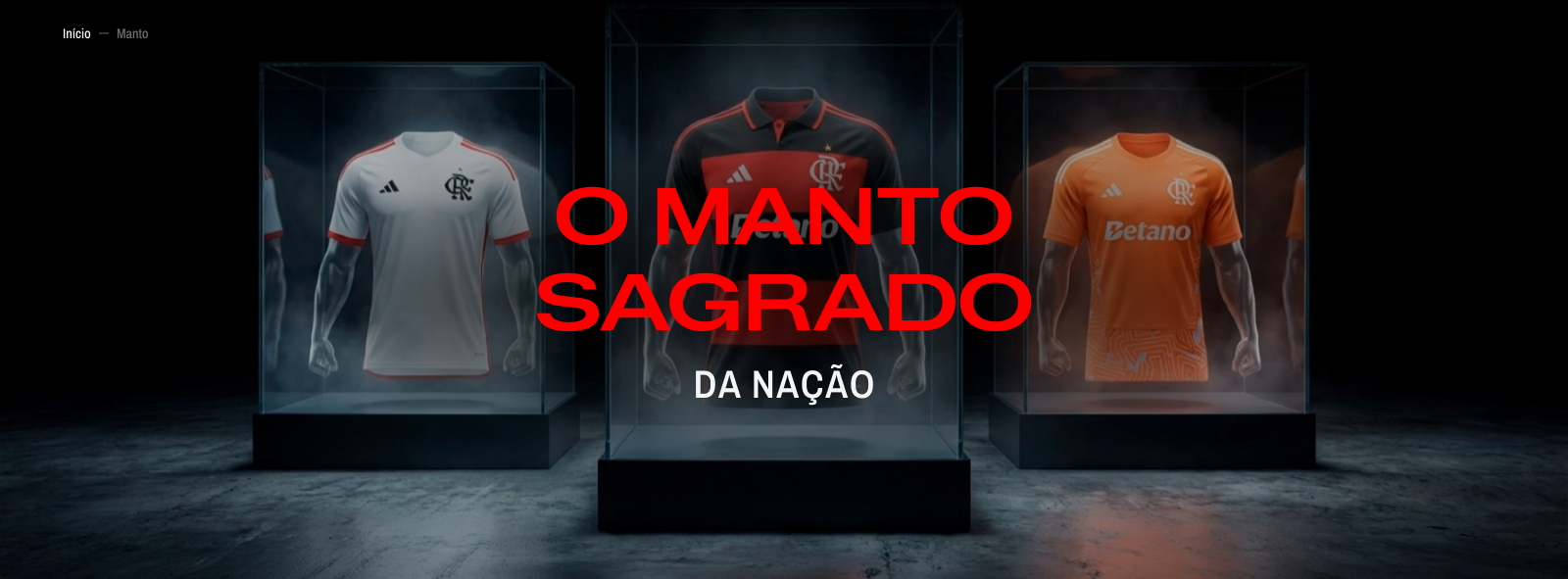 Hero principal do Manto Sagrado da Nacao